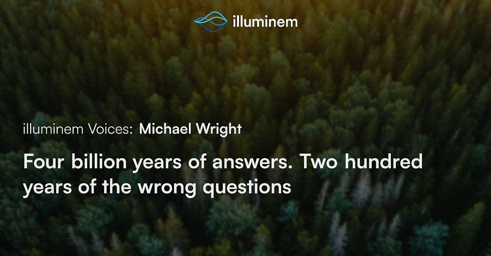 Screenshot of Illuminem's article cover photo.