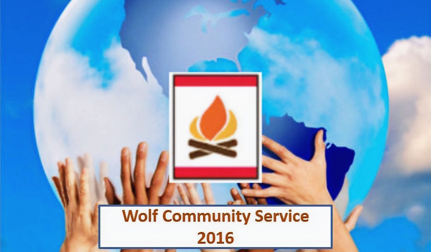 2016-WolfCommunityService-Image_edited.j