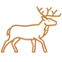 Deer.png