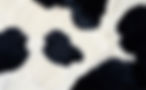 real-black-and-white-cow-hide-2024-10-23-02-38-33-utc.jpg