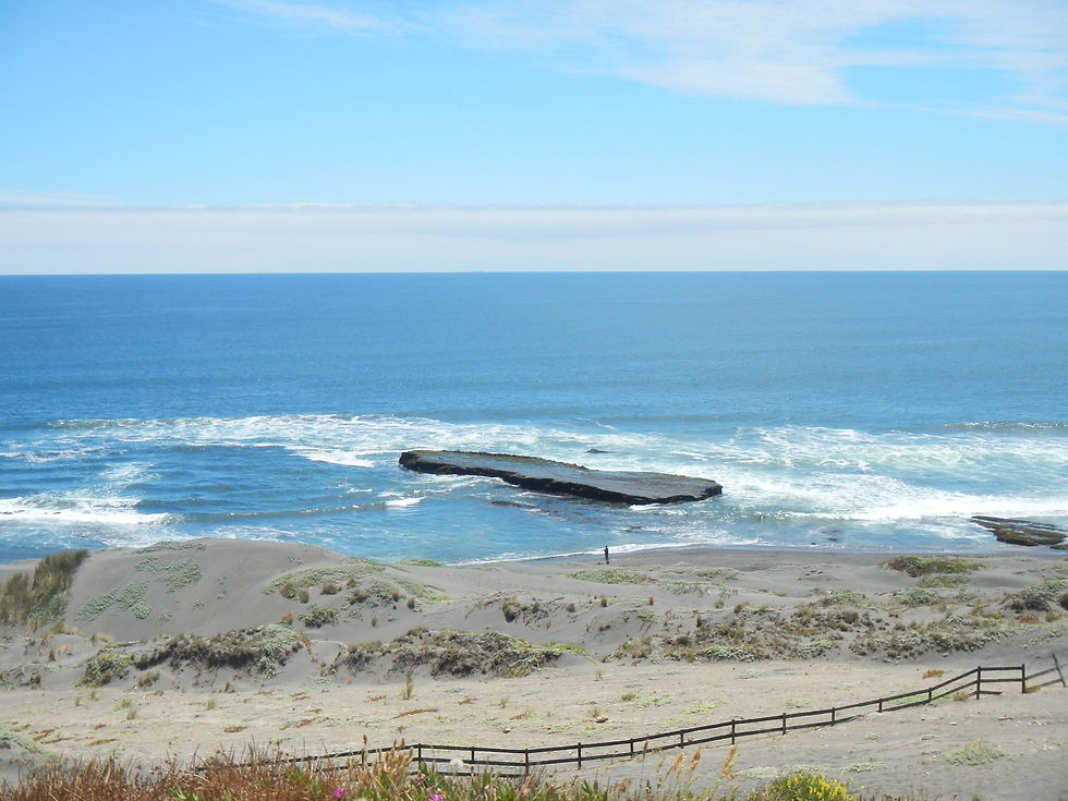 DSCN8248.JPG