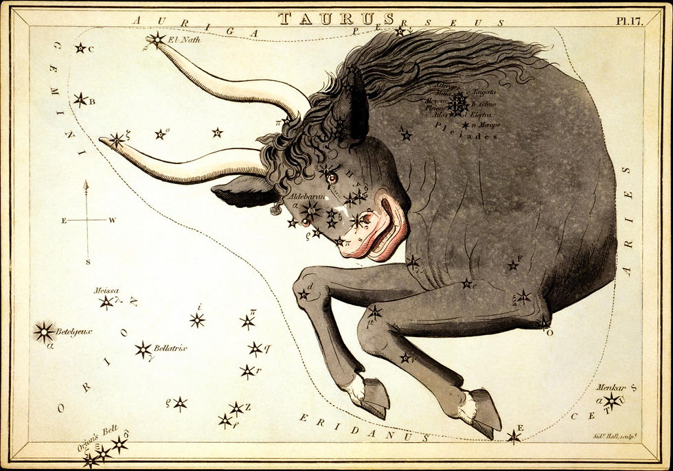 Document 15: Taurus