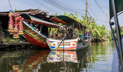 Ein Aufkreischen beim Schiffsbug - etwas Unerwartetes schwimmt neben dem Boot