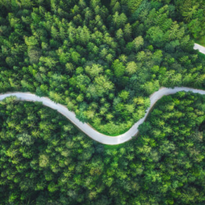 Federal Market Roadmaps: A Critical Tool for Success