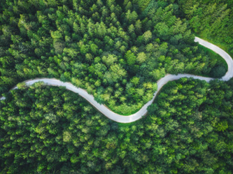 Federal Market Roadmaps: A Critical Tool for Success