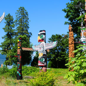 Indian Health Service: A Profile for Manufacturers