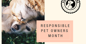 How To Be A Responsible Pet Owner in Sunland-Tujunga and the Foothills Area