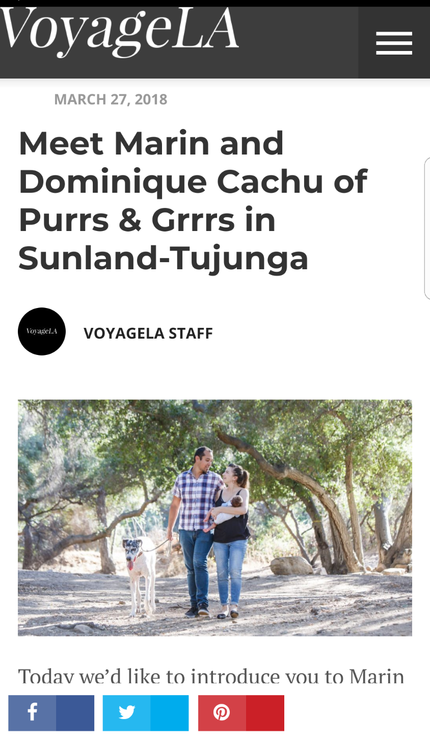 Purrs & Grrrs Dog Walking & Pet Sitting | Sunland - Tujunga