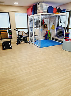 Imagem do WhatsApp de 2025-01-03 Ã (s) 12.37.34_17113775.jpg