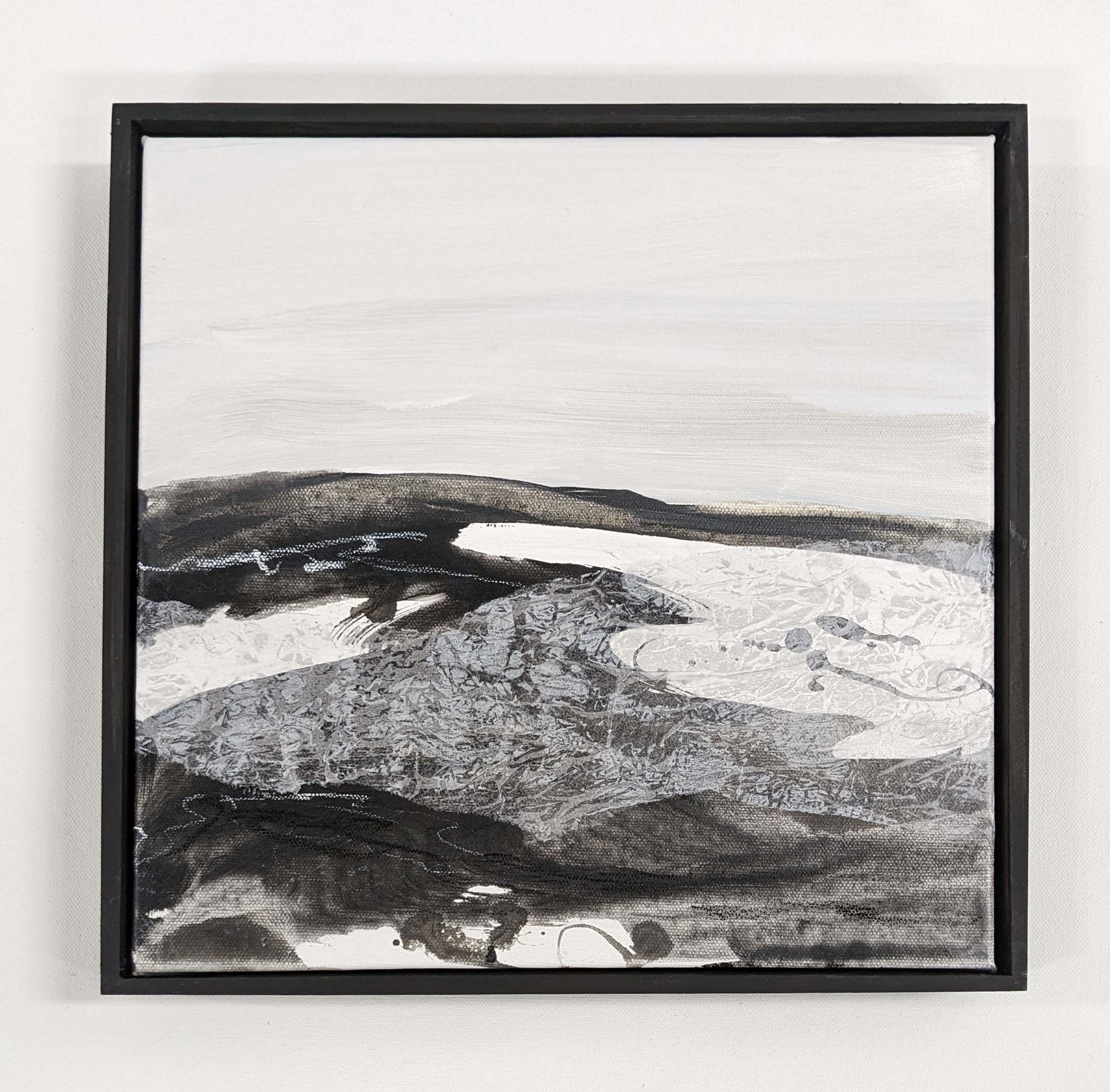 Mono Series - Snow Ebony 2