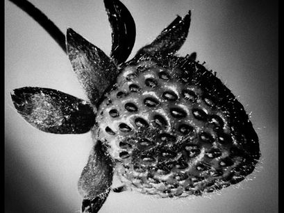 What Comes After the Gunfire?