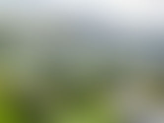 If we do not learn from history, we are doomed to repeat it.