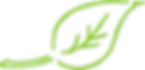 Garten- und Landschaftsbau Wolz GmbH