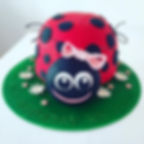 Ladybug