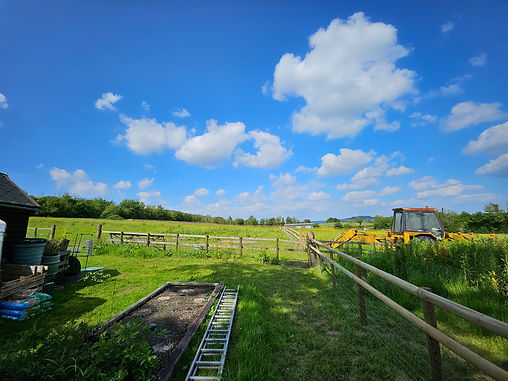 20240605_161744 (1).jpg