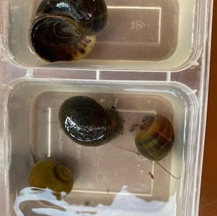 Bangkok Patana In-School.jpg