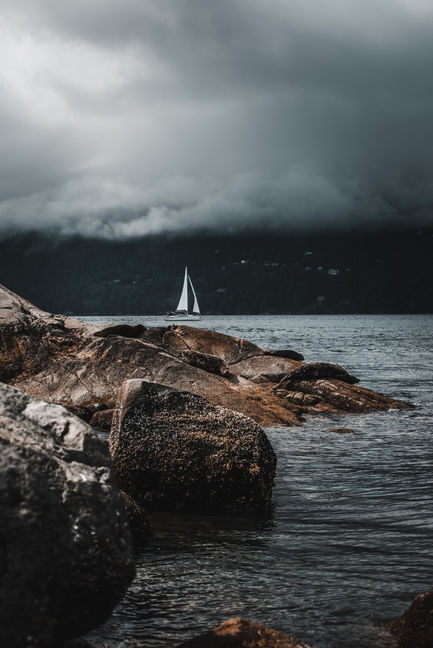 Seals with Sail Boat