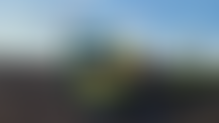 In Search of Adaptable Low-Heat Corn Hybrids for Winter Feeding Systems 