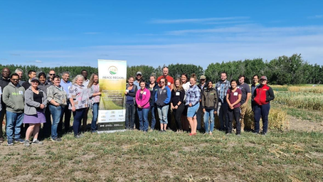 Enhancing AgroEcosystem Services – A Peace Region Living Lab Project