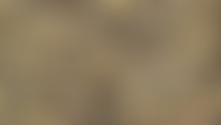 Productivity, quality, and water-use efficiency of commercial and producer cocktails