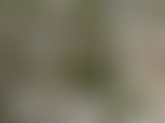A new thing coming 
