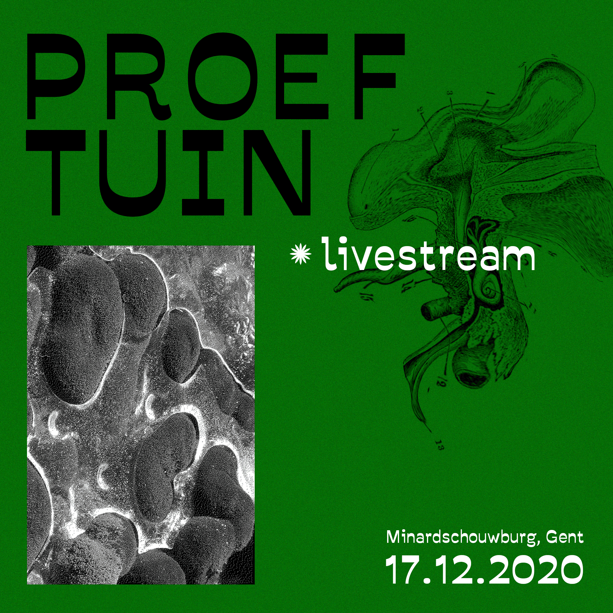 proeftuin_insta_livestream.gif