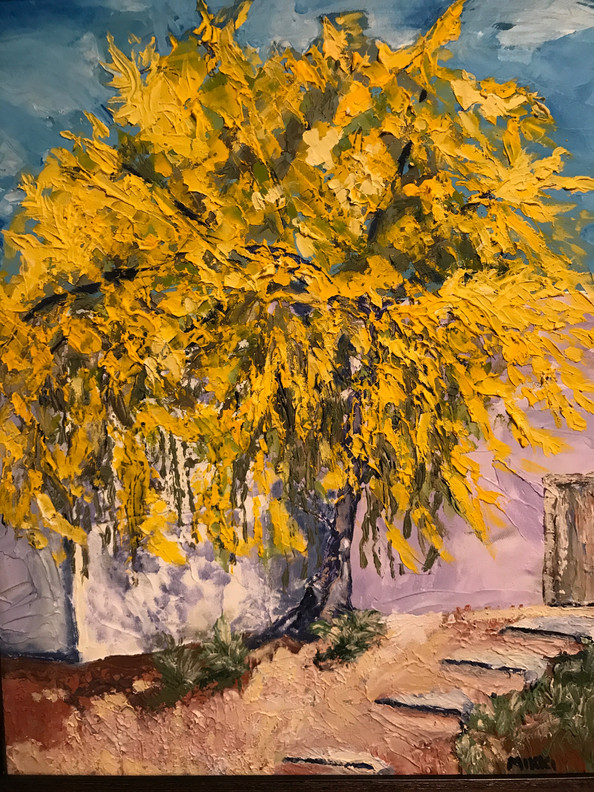 The Yellow Tree (palo verde), acrylic (16" x 20")