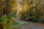 Drive way 54.jpg