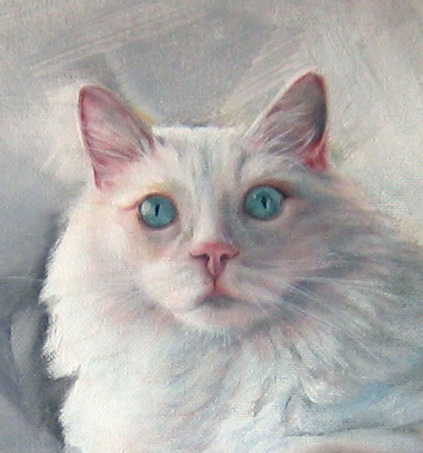 3 Cats 300 Copy (2).jpg