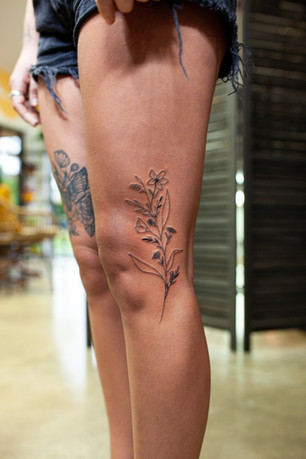 by kelly