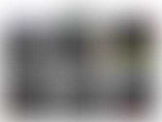 Une petite beauté du site internet