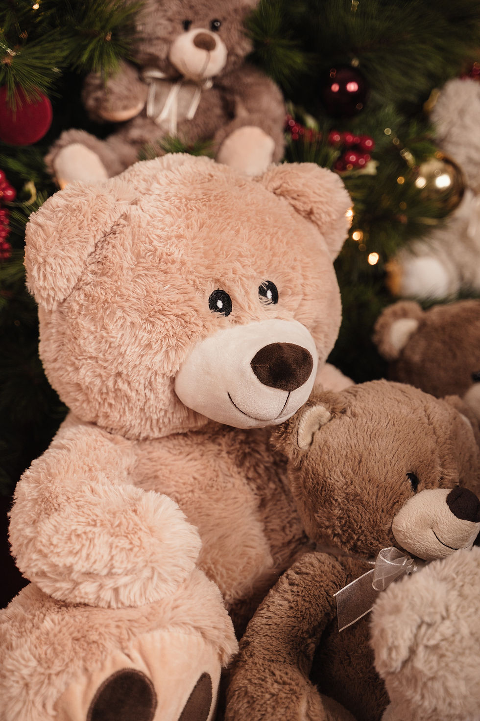 Mini sessioni natale