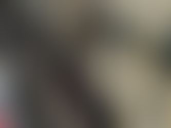 Circo de Perceções