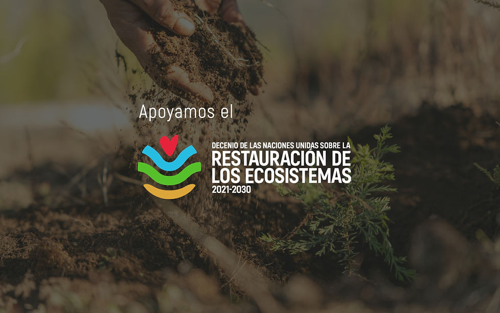 ReforestArg es reconocida por la ONU como Actor de la Década de la Restauración de Ecosistemas 2021-2030