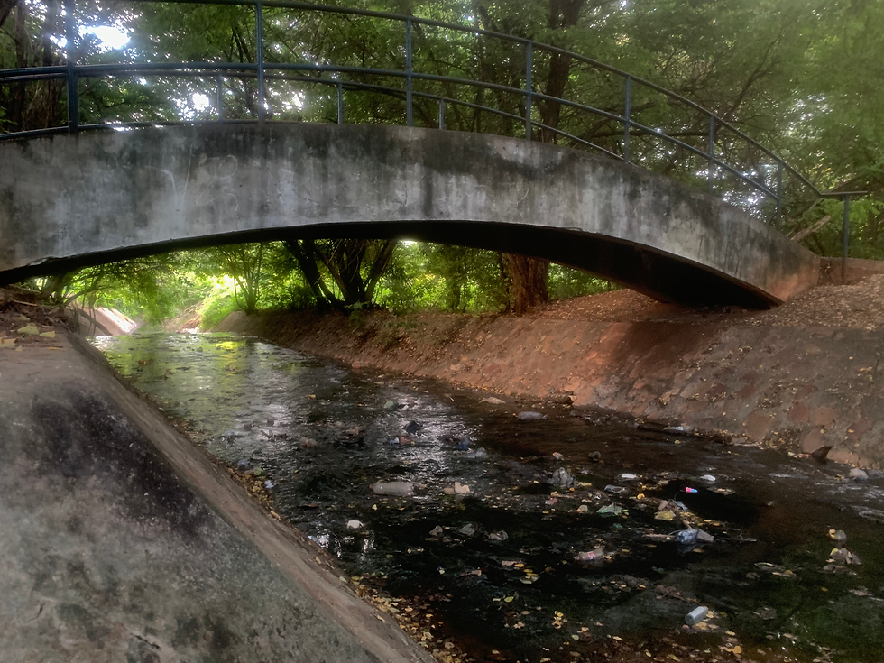 Com quase R$ 5 milhões em investimentos públicos, Parque das Timbaúbas apresenta constante degradação ambiental