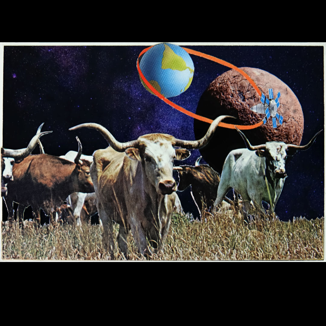 "Longhorn Logarithm"