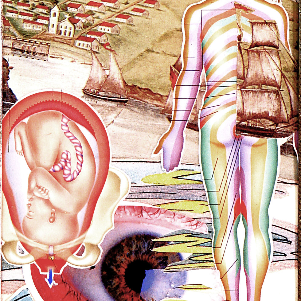 Thumbnail: "The Night Decays"