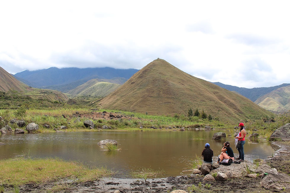 Laguna del Rey.jpg