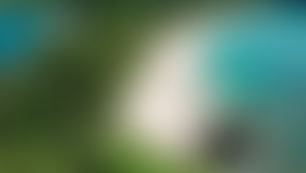 COSTA RICA APPROVES LAW TO ATTRACT FOREIGN INVESTORS, RENTIERS, AND RETIREES 