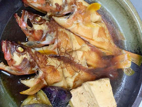 お客様が釣った魚を料理  煮魚
