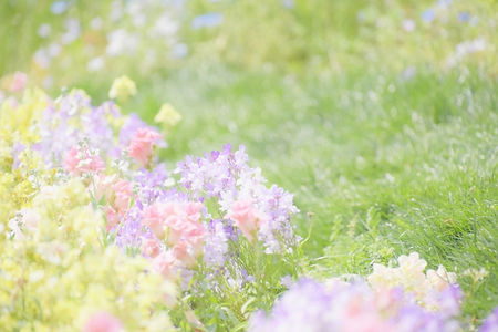 予約なしで受診できます