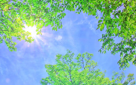 お気軽にご相談ください。