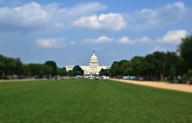 DSC_0268_edited