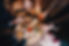 TrigrMedia_-05290.jpg