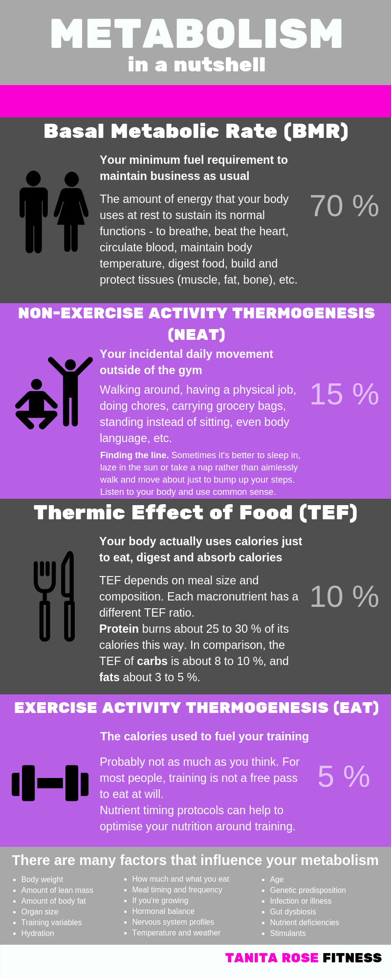 Metabolism In A Nutshell Infographic