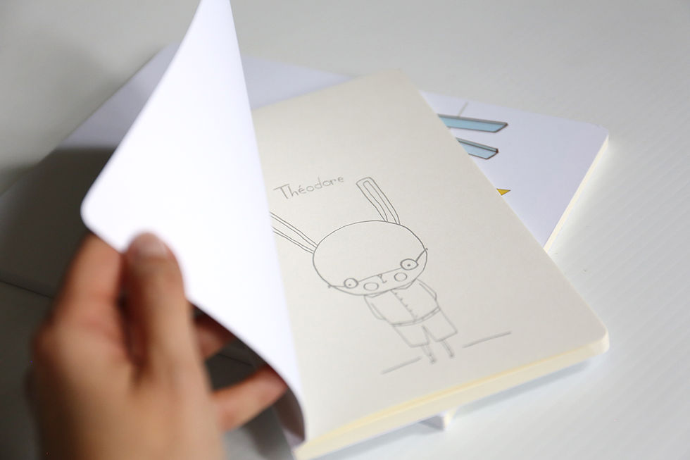 Miniature : THÉODORE / Cahier
