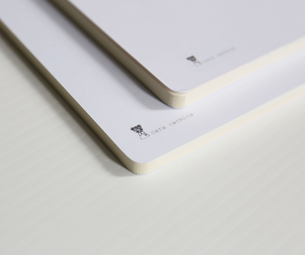 Miniature : THÉODORE / Cahier