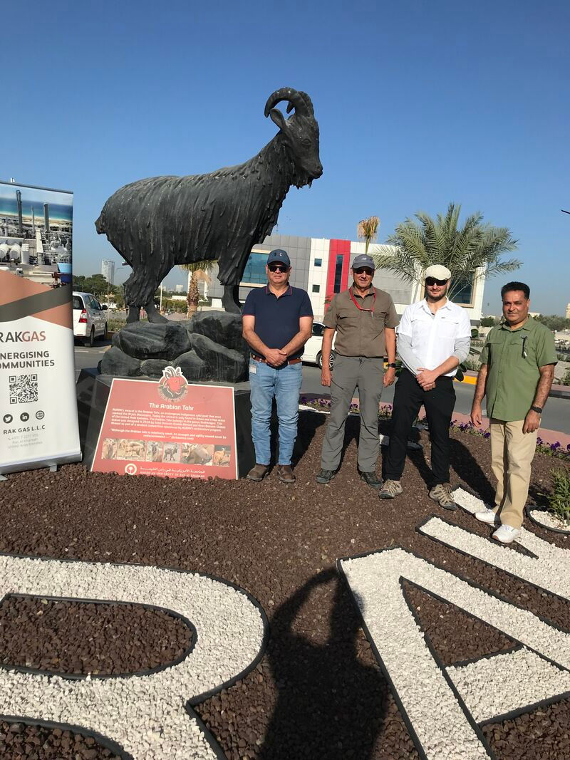 Image 1 for 3-meter Arabian Tahr sculpture at AURAK symbolizing heritage and resilience – تمثال الطهر العربي بارتفاع 3 أمتار
