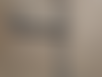 Tyne Refractory Anchors: High-Strength Support Systems for Durable Furnace & Kiln Linings