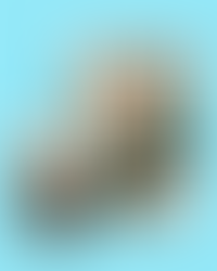 📩신세계로부터의 소식📩극단 신세계 고용선 배우의 공연 소식을 전합니다!